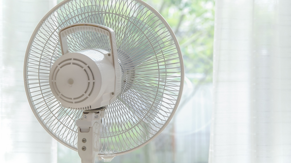 扇風機は色々選べる