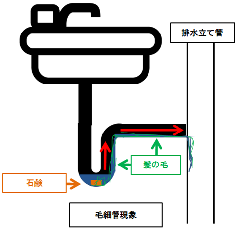 毛細管現象